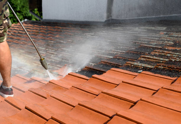 Best Garage Pressure Washing  in Eustis, FL